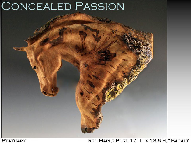 Concealed Passion